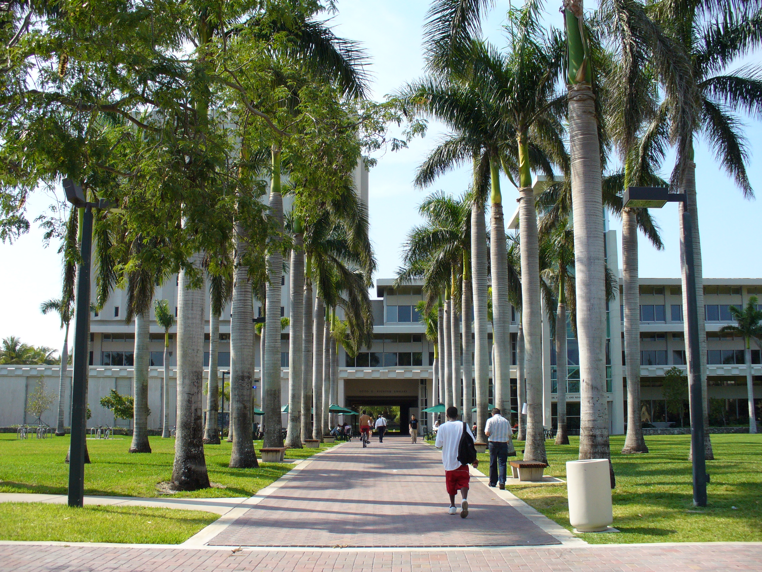 迈阿密大学University of Miami